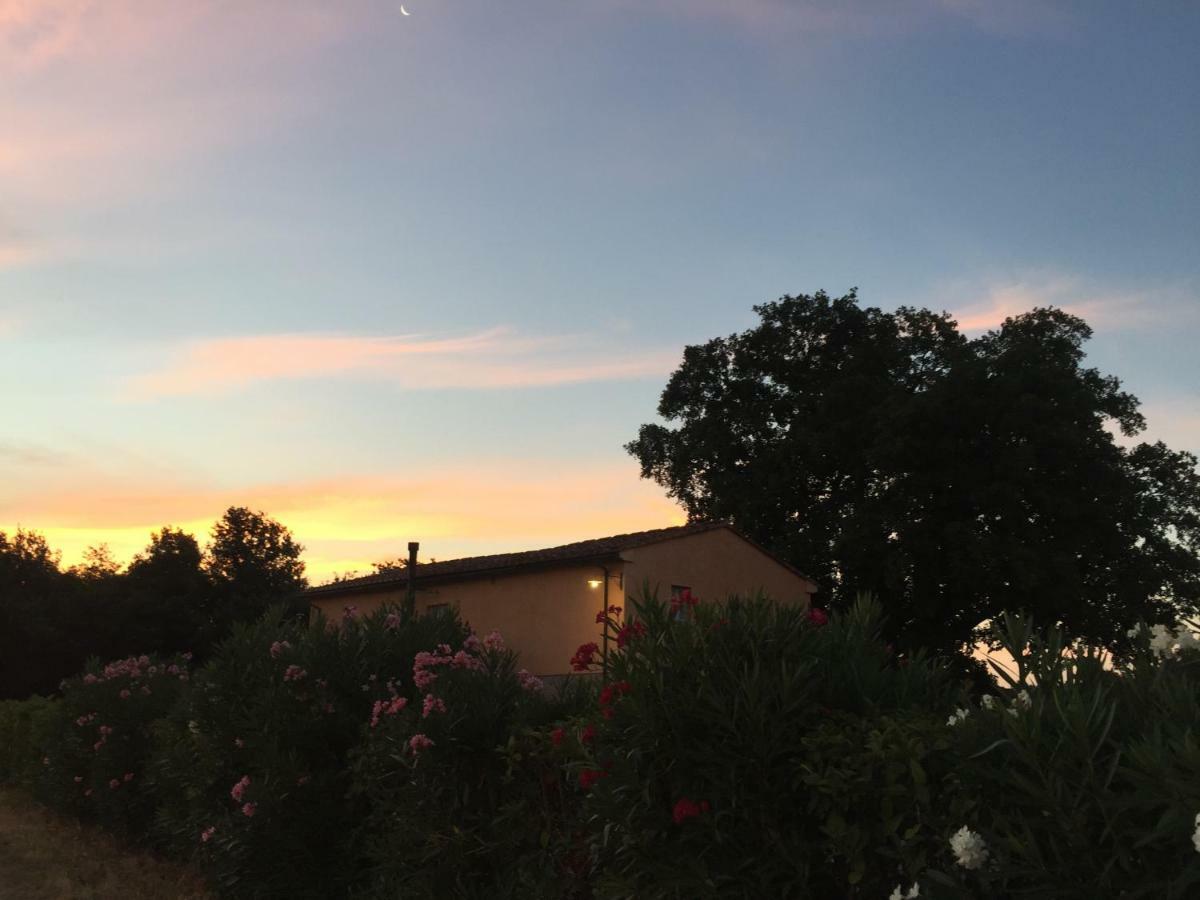 Agriturismo Pieve de Pitti Terricciola Esterno foto