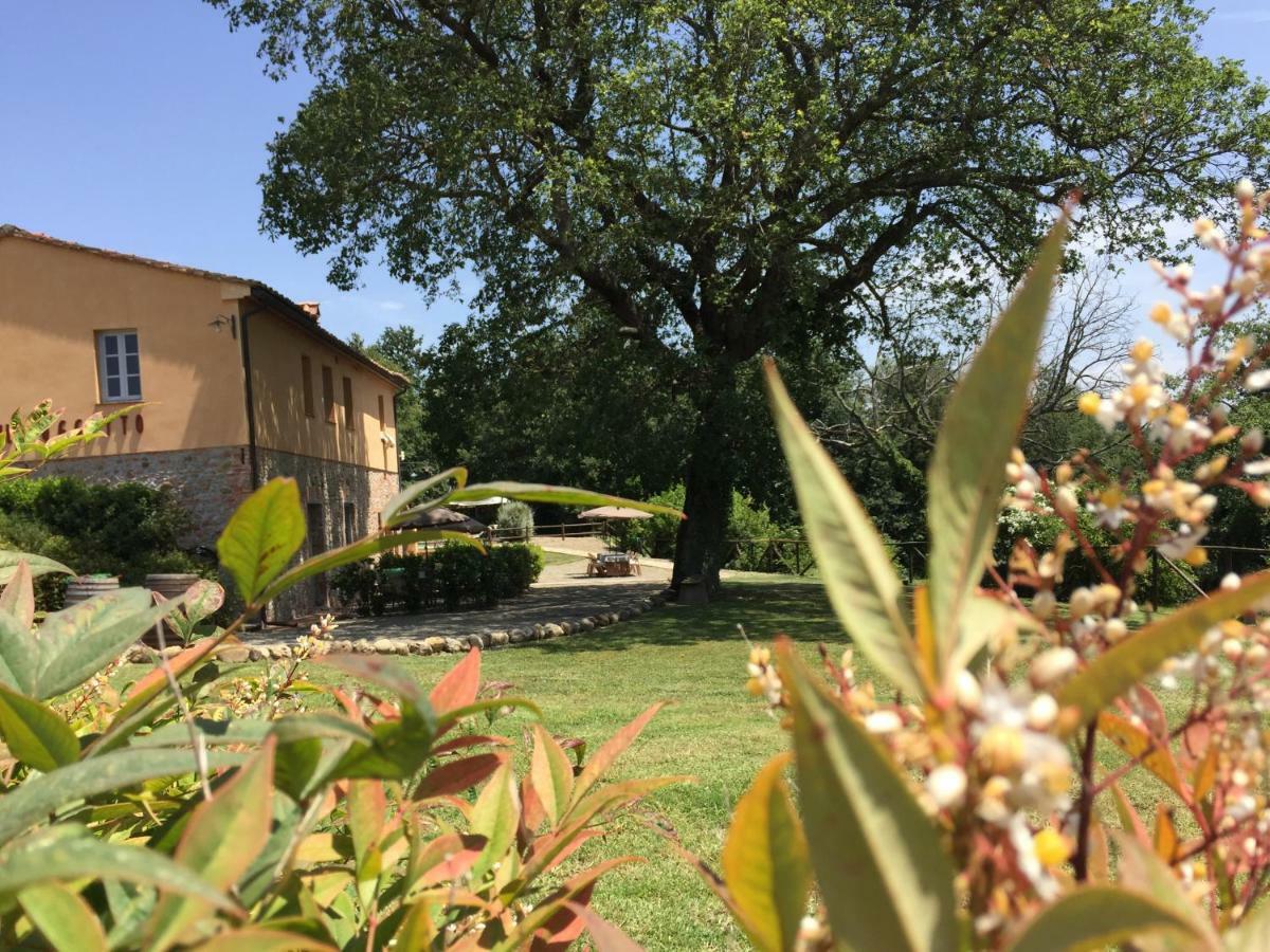 Agriturismo Pieve de Pitti Terricciola Esterno foto