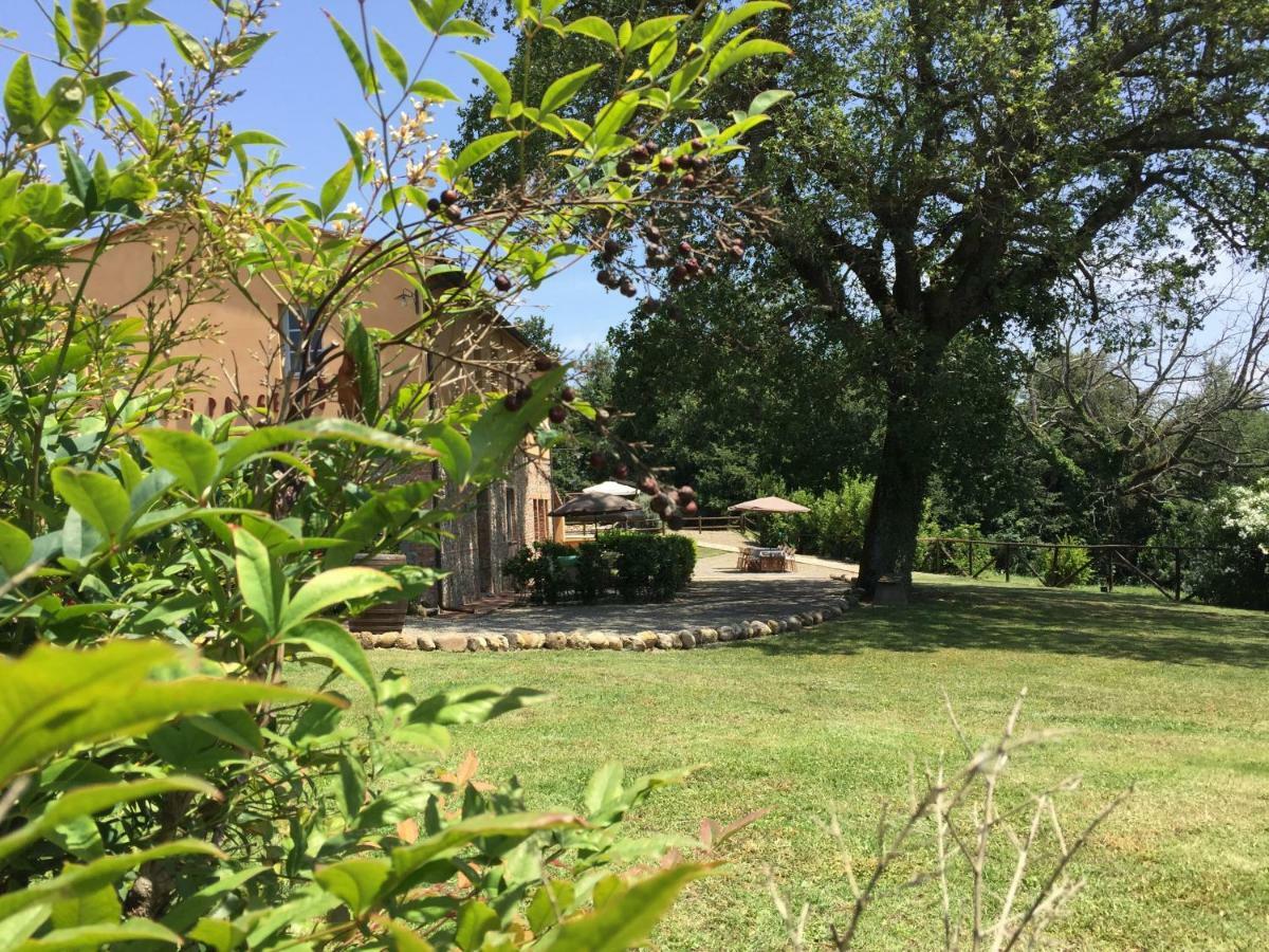 Agriturismo Pieve de Pitti Terricciola Esterno foto