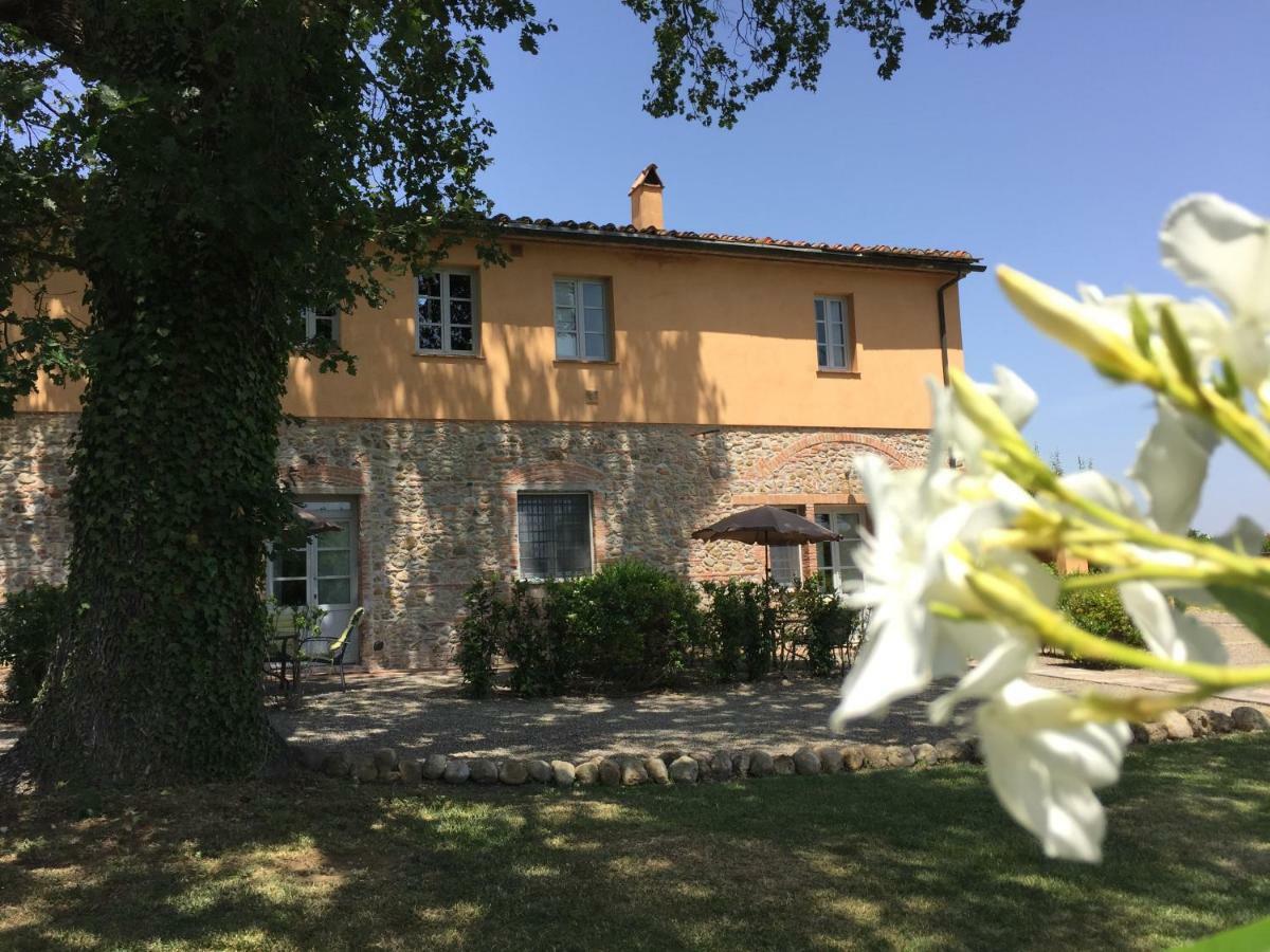 Agriturismo Pieve de Pitti Terricciola Esterno foto
