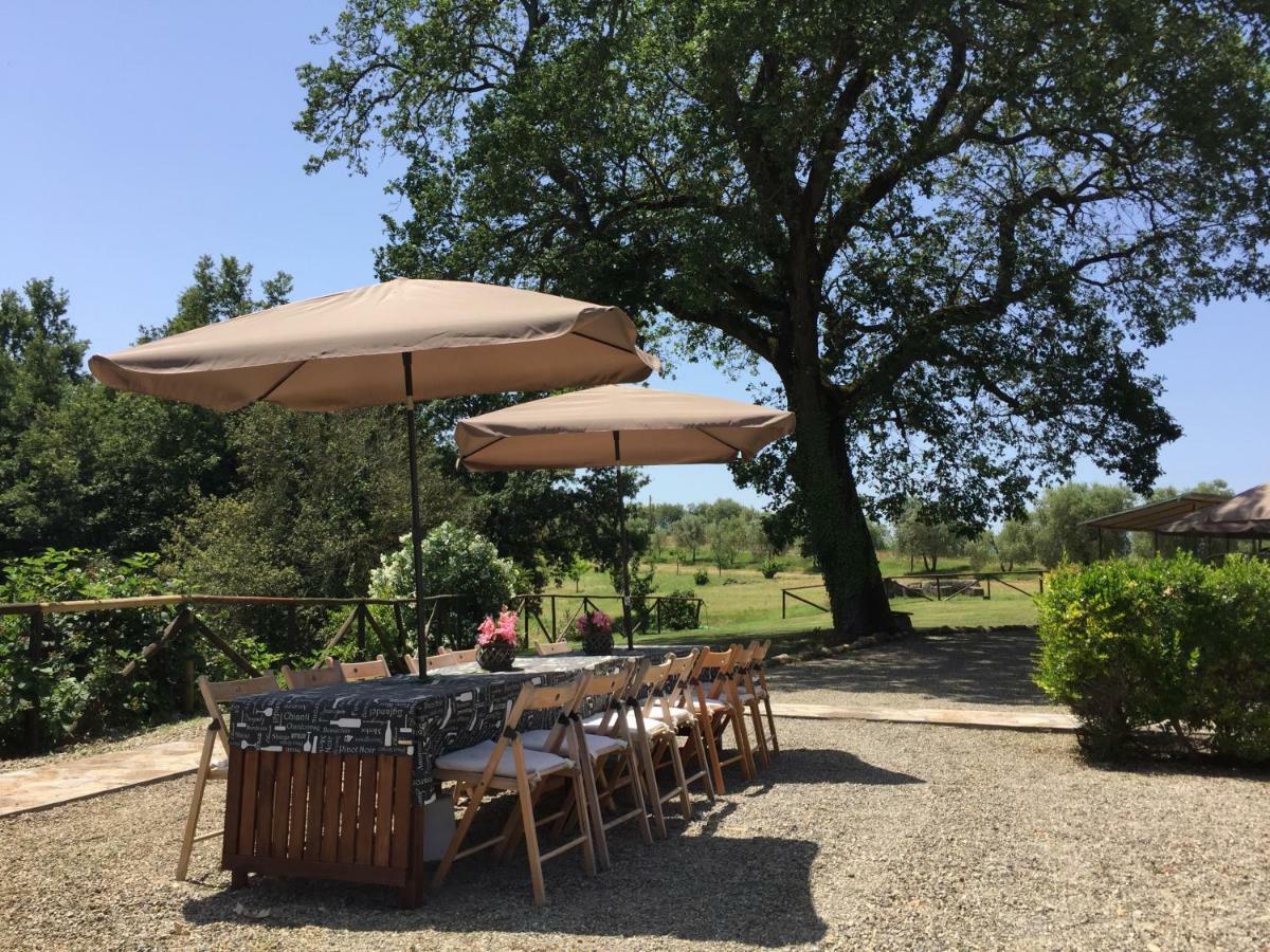 Agriturismo Pieve de Pitti Terricciola Esterno foto