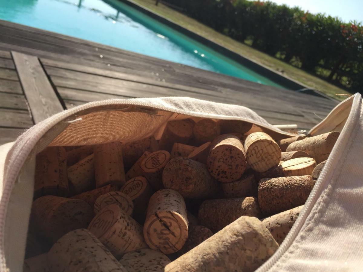 Agriturismo Pieve de Pitti Terricciola Esterno foto