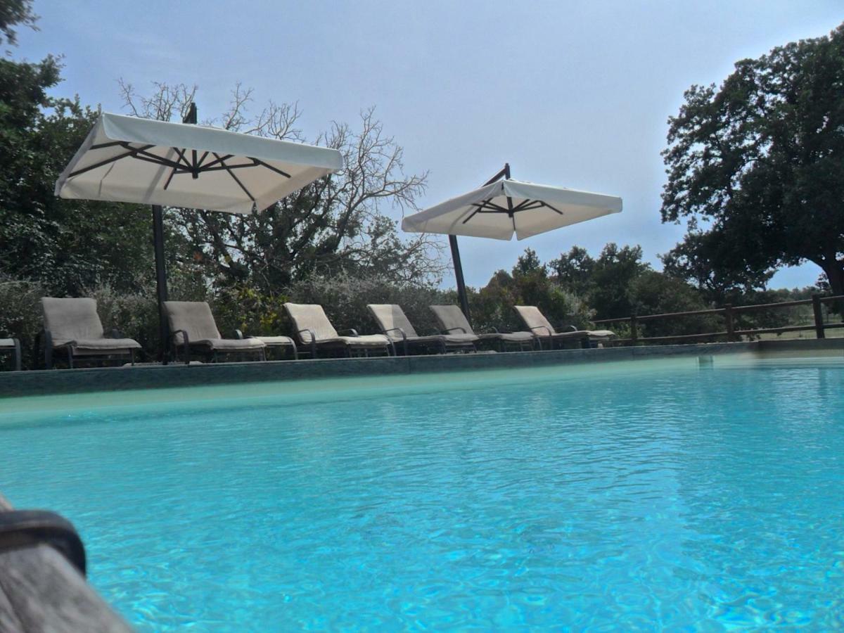 Agriturismo Pieve de Pitti Terricciola Esterno foto